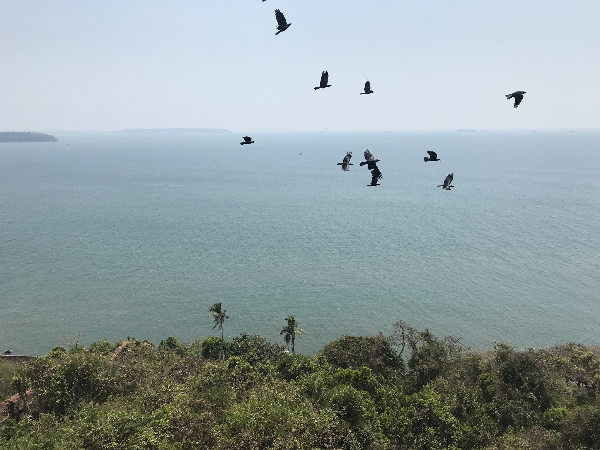 View from Aguada Fort, Goa